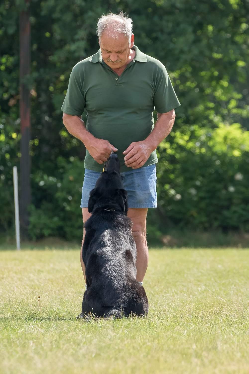 Apport voor oefening