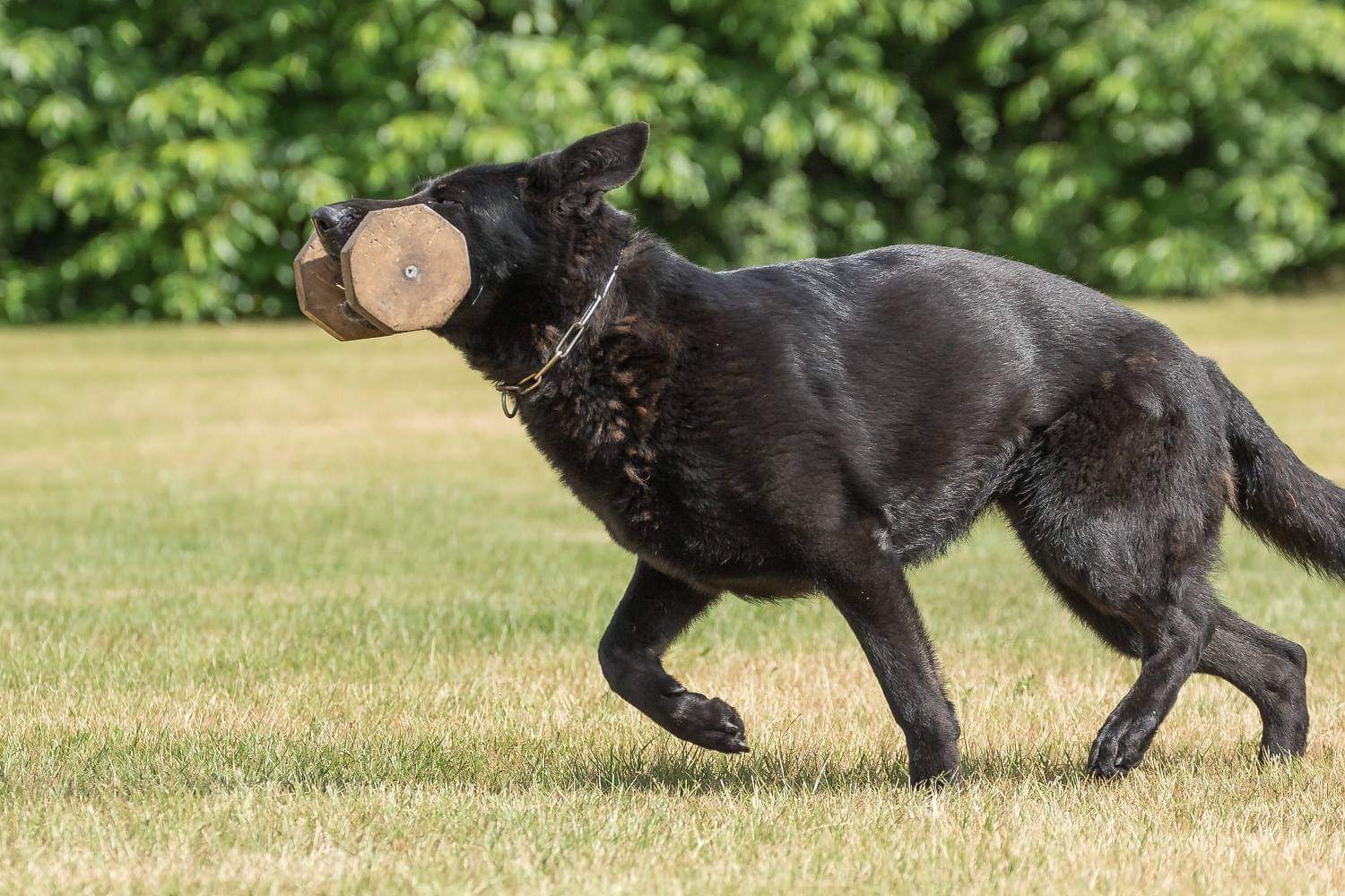 Blok brengen oefening