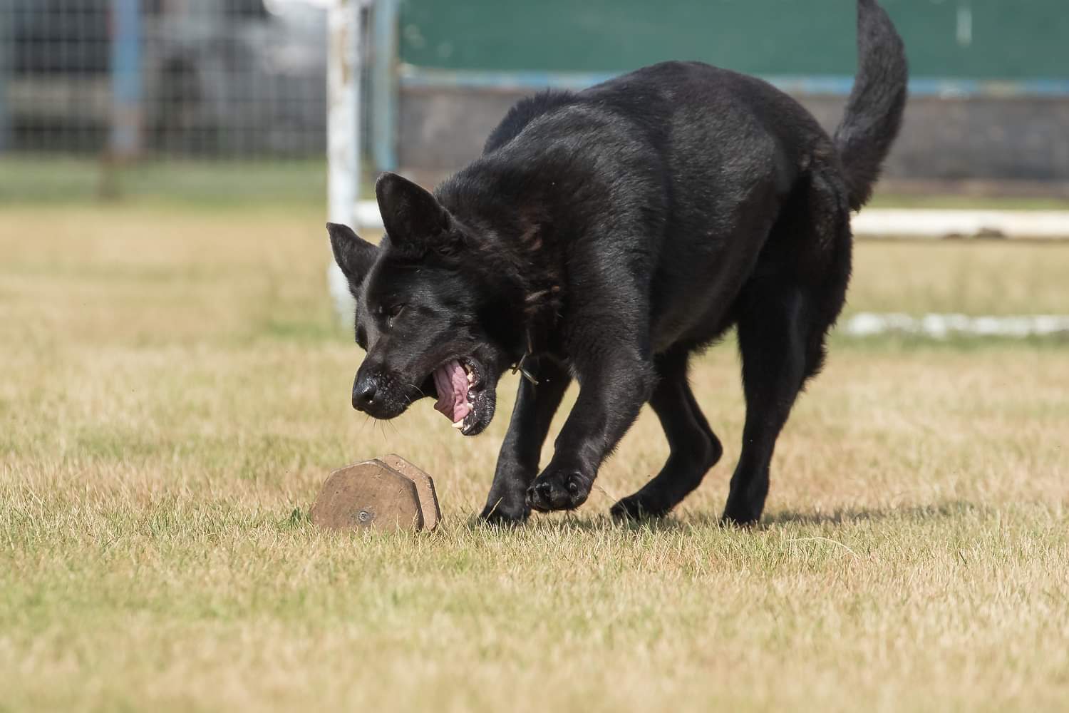 Blok pakken oefening